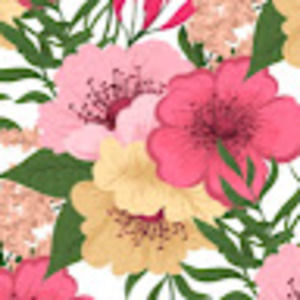 Meet your Posher, Aisha